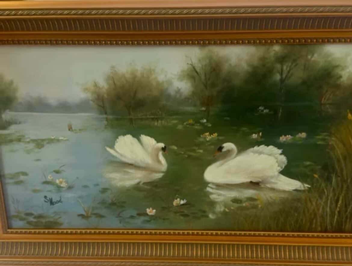 11x14” Swan Commission